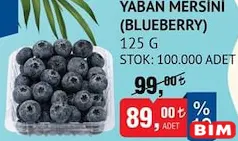 YABAN MERSİNİ (BLUEBERRY) 125 G YABAN MERSİNİ (BLUEBERRY) 125 G